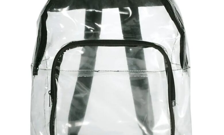 La iniciativa propone la promoción de uso de mochilas transparentes como medida de seguridad en las escuelas.