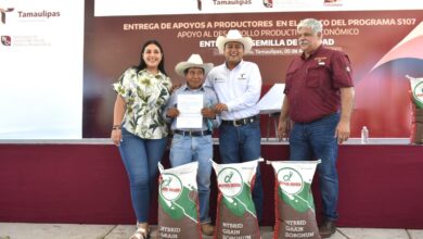 Como parte del Programa Fomento a la Producción Rural 2024, productores agrícolas reciben semillas de sorgo y maíz.