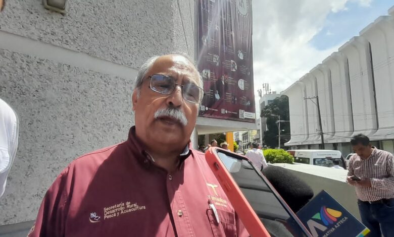 Antonio Varela Flores, Secretario de Desarrollo Rural, Pesca y Acuacultura.