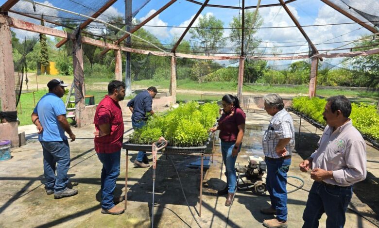 Desarrollo Rural presentó a productores de Abasolo, los programas de apoyo forestales y agropecuarios que se están ofreciendo este año.