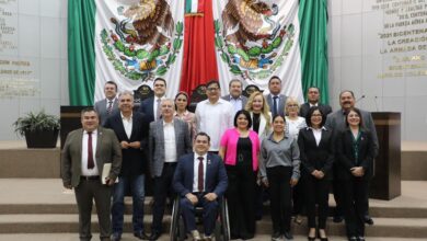 diputados de Morena