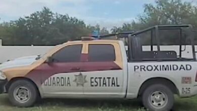 Las autoridades colaboran para atrapar al tigre y regresarlo al zoológico.