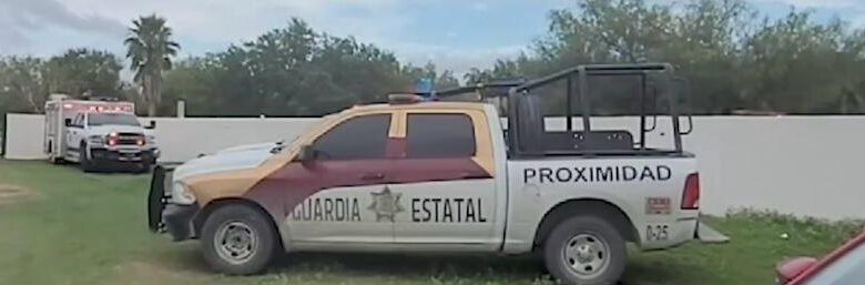 Las autoridades colaboran para atrapar al tigre y regresarlo al zoológico.