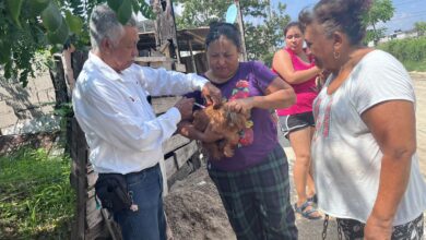 La Secretaría de Salud inició los preparativos de la Campaña de Reforzamiento de Vacunación Antirrábica Canina y Felina para la cual se contempla la aplicación de unas 300 mil dosis.
