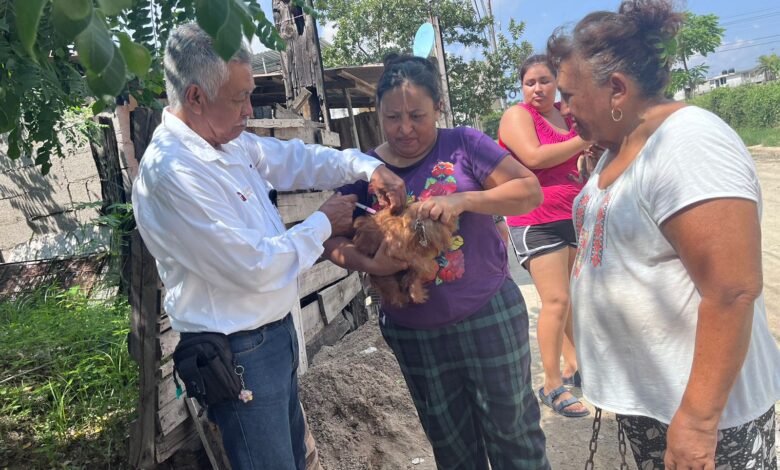 La Secretaría de Salud inició los preparativos de la Campaña de Reforzamiento de Vacunación Antirrábica Canina y Felina para la cual se contempla la aplicación de unas 300 mil dosis.