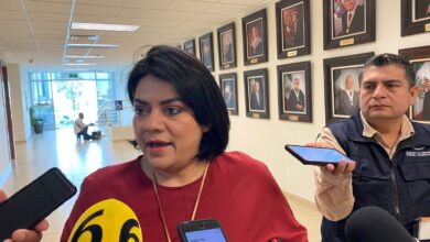 Úrsula Salazar Mojica, diputada de Morena.