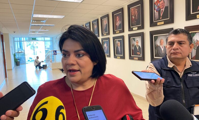 Úrsula Salazar Mojica, diputada de Morena.