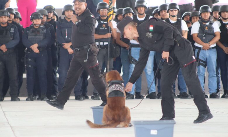 El agrupamiento canino está adiestrado en la búsqueda de narcóticos, explosivos, personas, dinero.