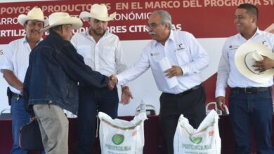 280 toneladas de fertilizante granulado sulfato de amonio fueron entregados a productores como parte del programa 107 Apoyo al Desarrollo Productivo y Económico.