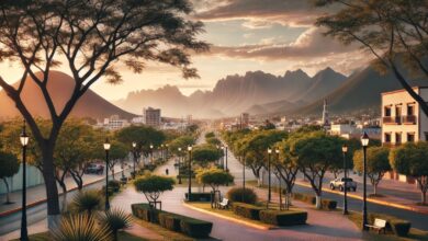 Ley del Arbol en Tamaulipas