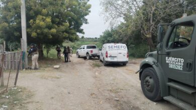 En un inmueble en la colonia Nueva Rosita en Soto la Marina fueron aseguradas bolsas con marihuana.