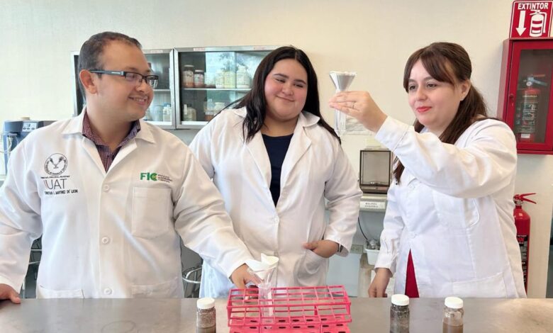metales pesados en cultivos