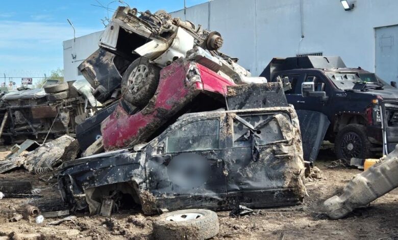 destrucción de monstruos
