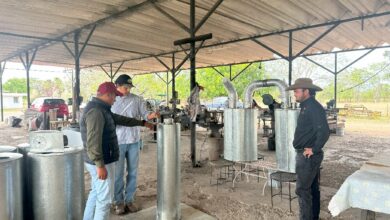 Tamaulipas es uno de los principales productores de carbón vegetal a nivel nacional, actualmente cuenta con 110 autorizaciones de aprovechamiento forestal maderable.