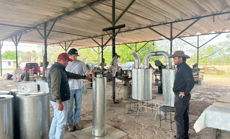 Tamaulipas es uno de los principales productores de carbón vegetal a nivel nacional, actualmente cuenta con 110 autorizaciones de aprovechamiento forestal maderable.