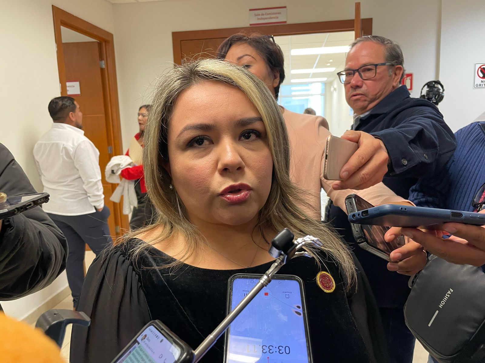 Elvia Eguía Castillo, Diputada de Morena.