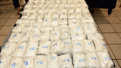 La Semar y Fiscalía del Estado aseguran grandes dosis de drogas.