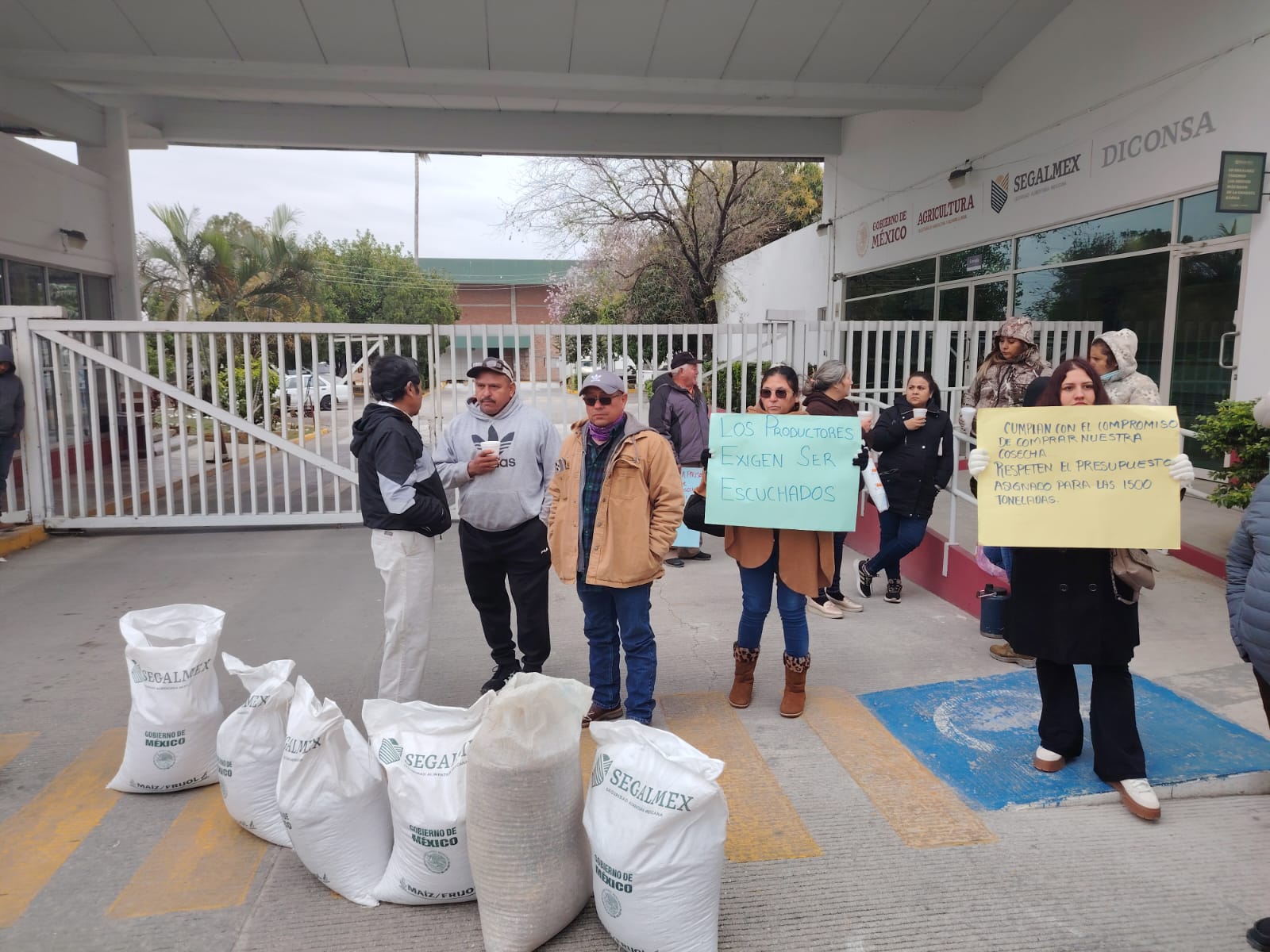 Segalmex no les quiere cumplir la compra de 1,500 toneladas de frijol a los productores de Abasolo.