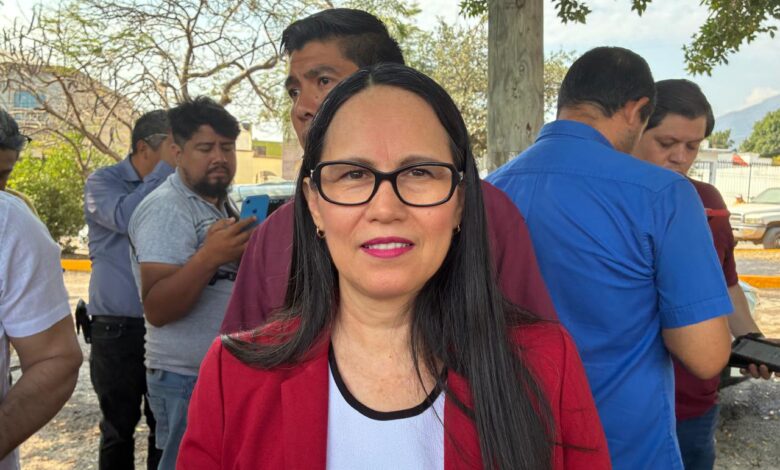 Norma Angélica Pedraza Melo, Contralora Gubernamental.