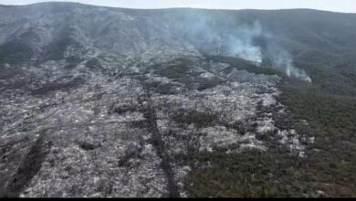incendio