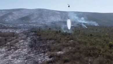 incendio forestal