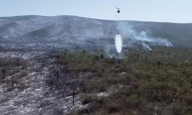 incendio forestal