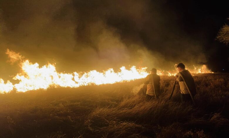 En los dos incendios forestales se ha registrado la mano humana como primera causa de estos.