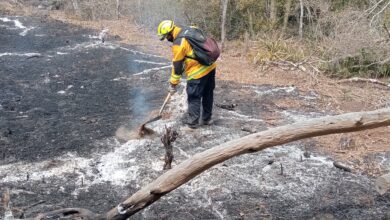 Los incendios forestales y urbanos registrados durante las últimas semanas en Tamaulipas, fueron liquidados en su totalidad.