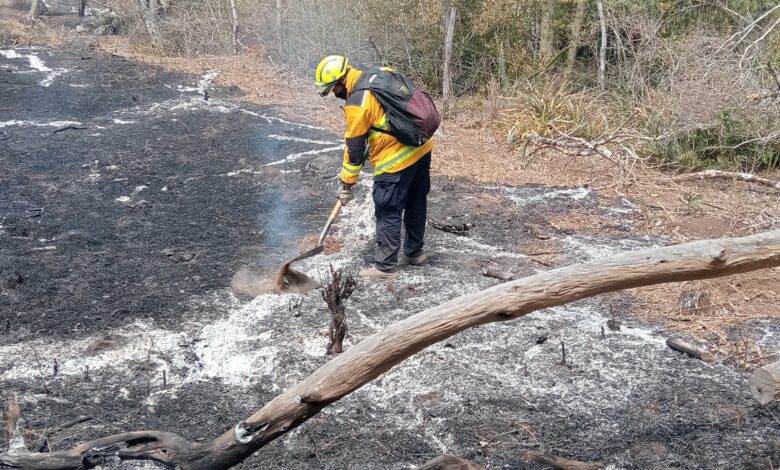 Los incendios forestales y urbanos registrados durante las últimas semanas en Tamaulipas, fueron liquidados en su totalidad.