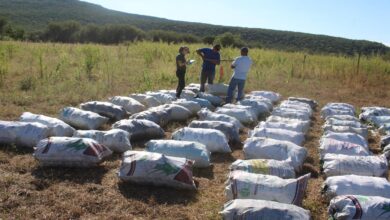 Se llevan a cabo acciones de extensionismo forestal con el objetivo de impulsar procesos de gestión, organización y desarrollo local entre los productores tamaulipecos.