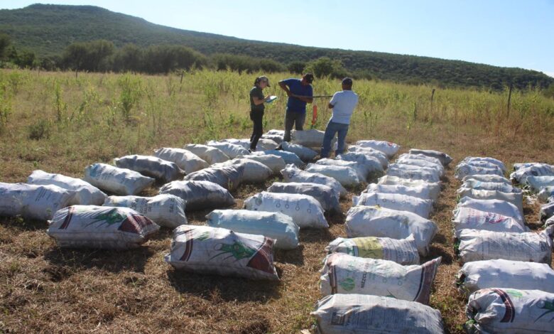 Se llevan a cabo acciones de extensionismo forestal con el objetivo de impulsar procesos de gestión, organización y desarrollo local entre los productores tamaulipecos.