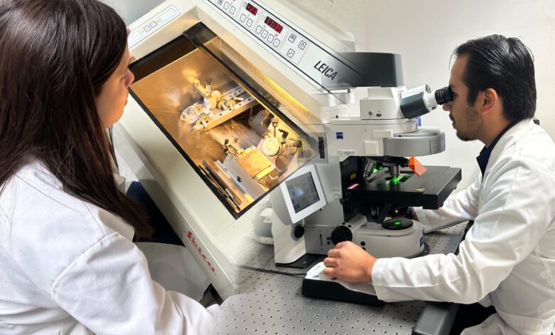 investigación