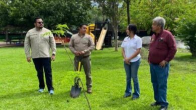 La UAT impulsa una serie de acciones en favor del medio ambiente a través de una estrategia integral implementada por la Facultad de Ingeniería y Ciencias.