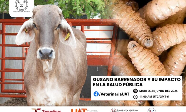 Dará la UAT conferencias sobre gusano barrenador y su impacto en la salud pública.