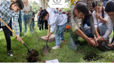 Jardines de Carreras” es una iniciativa que tiene como objetivo promover espacios educativos con sentido humanista y responsabilidad ambiental.