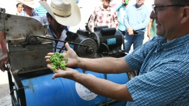 La Secretaría de Desarrollo Rural, Pesca y Acuacultura, llevó a cabo el taller “Equipamiento proteico del nopal para alimentación del ganado: una opción económica ante la sequía”.