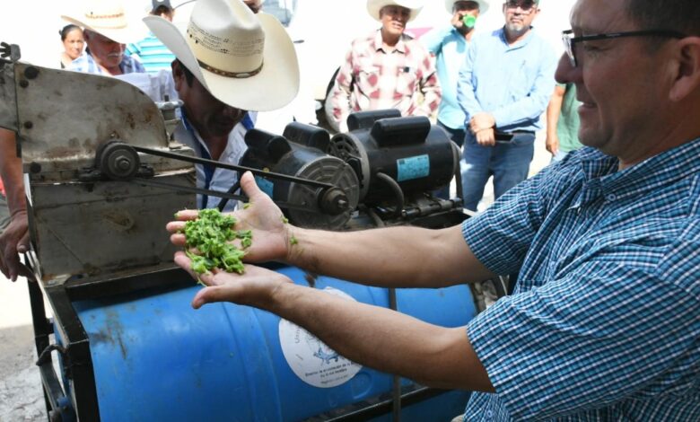 La Secretaría de Desarrollo Rural, Pesca y Acuacultura, llevó a cabo el taller “Equipamiento proteico del nopal para alimentación del ganado: una opción económica ante la sequía”.