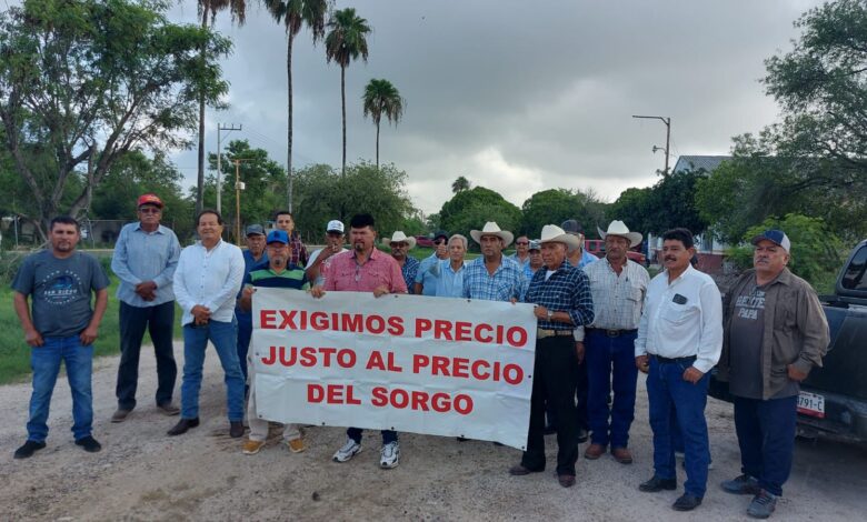 Tras no tener avances en las gestiones sobre el monto de apoyo por tonelada de sorgo comercializado, los productores decidieron iniciar sus protestas este mismo lunes.