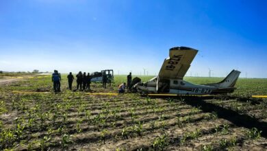 La avioneta cayó en un campo de cultivo de sorgo cerca de Reynosa.