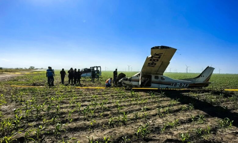 La avioneta cayó en un campo de cultivo de sorgo cerca de Reynosa.