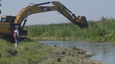 desasolve de canales en Madero