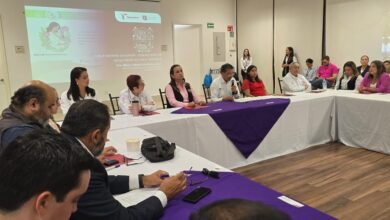 La Secretaría de Salud, presentó una serie de ponencias enfocadas a esta práctica efectiva, de respeto y protección a la lactancia materna.