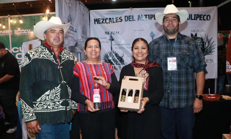 mezcal de Tamaulipas