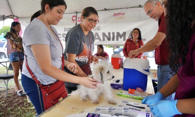 El programa “Presidencia Cerquita de Ti”, llevó a cabo una jornada a la colonia Valles de Anáhuac, donde los ciudadanos aprovecharon diferentes servicios.