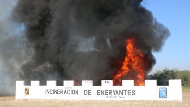 Fueron incinerados más de una tonelada de diversos narcóticos que fueron asegurados en Tamaulipas.