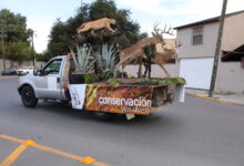 El Gobierno Municipal de Nuevo Laredo, invita a la ciudadanía a participar en el Desfile Cinegético 2025 con el que se da inicio a la temporada de caza.