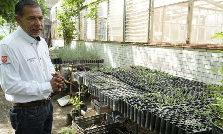 Para preservar las especies de maguey mezcalero de nuestro estado, la UAT desarrollo un proyecto que derivó en la elaboración de un producto de alta calidad que ya se expone en eventos nacionales.