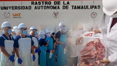 El rastro tipo TIF de la UAT, podrá exportar carne a más de 60 países y posicionar a la entidad como un referente agroalimentario internacional.