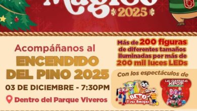 Todo está listo para celebrar en grande la inauguración del “Viveros Mágico 2025” y el tradicional Encendido del Pino Navideño en Nuevo Laredo.