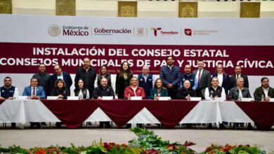 Carmen Lilia Canturosas